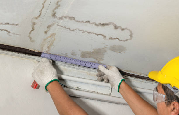Reliable Water Damage contractor in Corsicana, TX by Water Damage Irwin
